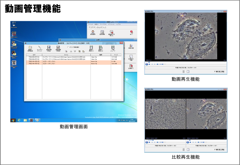 動画の録画と比較再生